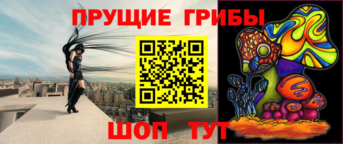 Мичуринск  Псилоцибиновые грибы прущие грибы  Псилоцибиновые грибы GOLDEN TEACHER  Вход с VPN 