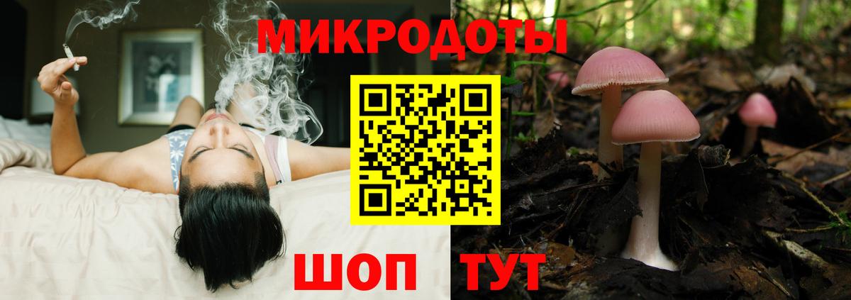 Галлюциногенные грибы Psilocybe Мичуринск